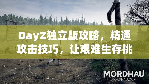 DayZ独立版攻略，精通攻击技巧，让艰难生存挑战不再是遥不可及的梦想