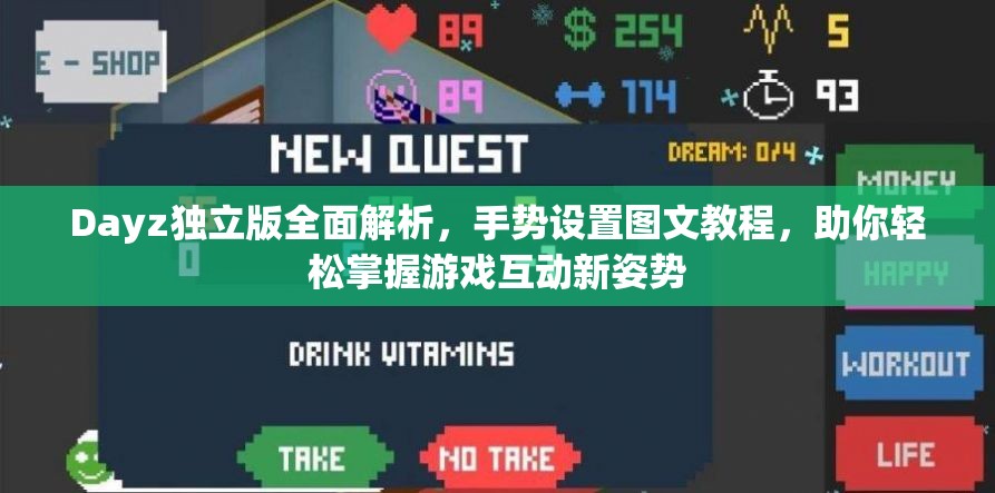 Dayz独立版全面解析，手势设置图文教程，助你轻松掌握游戏互动新姿势