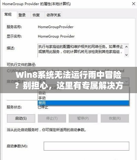 Win8系统无法运行雨中冒险？别担心，这里有专属解决方案助你畅玩！