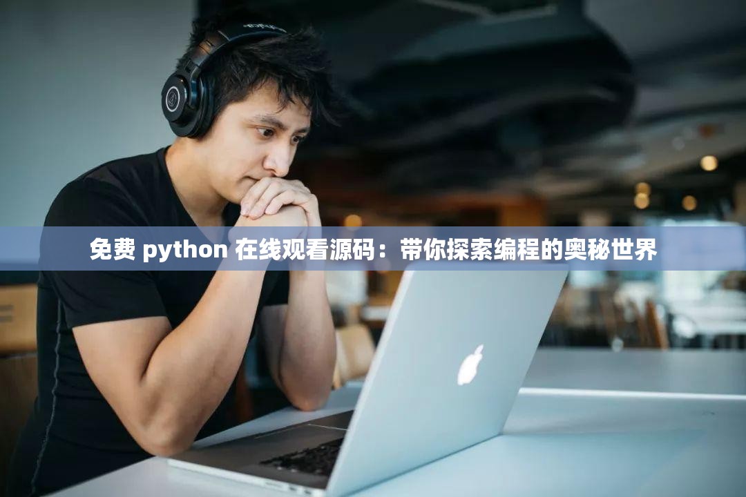 免费 python 在线观看源码：带你探索编程的奥秘世界