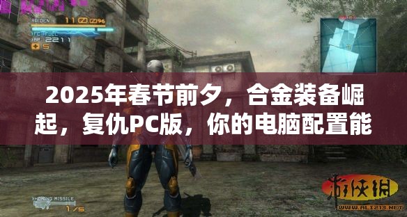 2025年春节前夕，合金装备崛起，复仇PC版，你的电脑配置能否流畅运行这款动作盛宴？