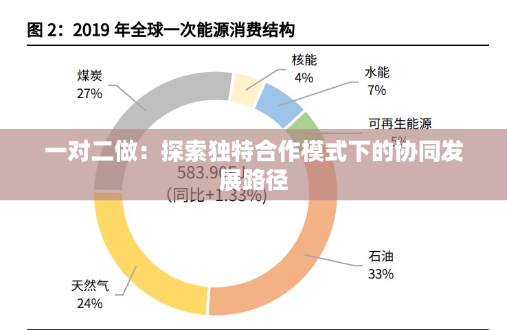 一对二做：探索独特合作模式下的协同发展路径