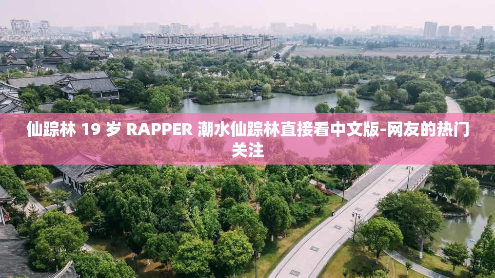 仙踪林 19 岁 RAPPER 潮水仙踪林直接看中文版-网友的热门关注