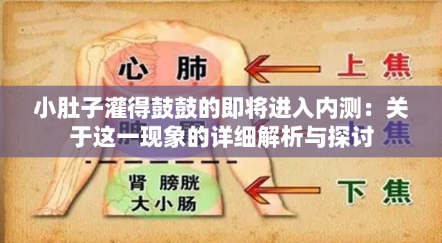 小肚子灌得鼓鼓的即将进入内测：关于这一现象的详细解析与探讨