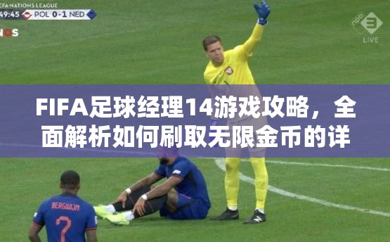 FIFA足球经理14游戏攻略，全面解析如何刷取无限金币的详细教程