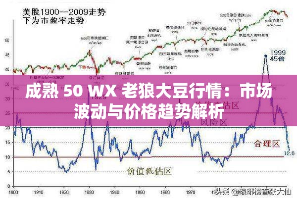 成熟 50 WX 老狼大豆行情：市场波动与价格趋势解析