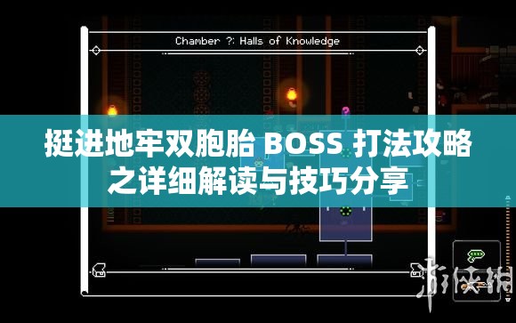 挺进地牢双胞胎 BOSS 打法攻略之详细解读与技巧分享