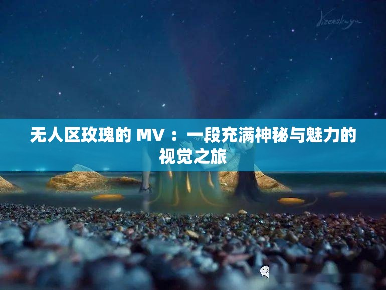 无人区玫瑰的 MV ：一段充满神秘与魅力的视觉之旅