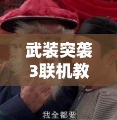 武装突袭3联机教程深度解析，盗版联机下的资源管理重要性及高效策略探讨