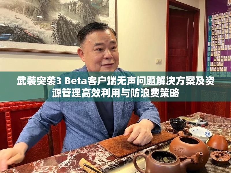 武装突袭3 Beta客户端无声问题解决方案及资源管理高效利用与防浪费策略