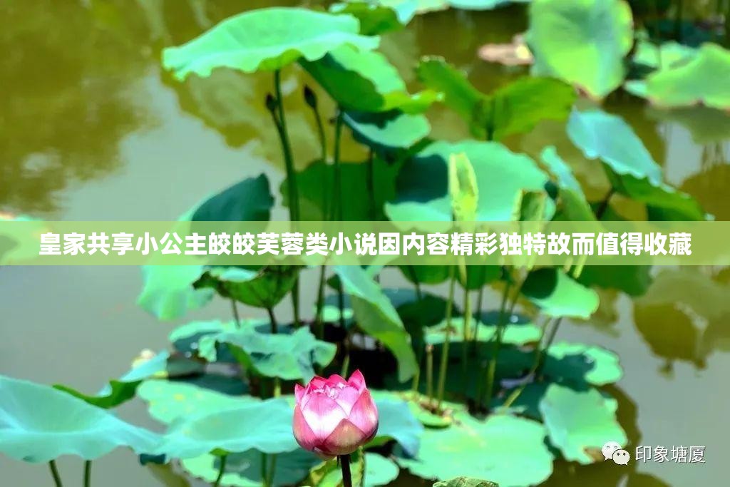 皇家共享小公主皎皎芙蓉类小说因内容精彩独特故而值得收藏