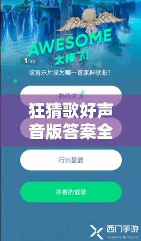 狂猜歌好声音版答案全集，实现资源管理高效利用与价值最大化的策略