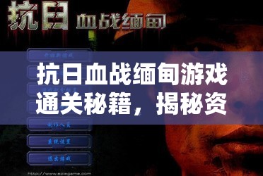 抗日血战缅甸游戏通关秘籍，揭秘资源管理核心重要性及实战高效运用策略