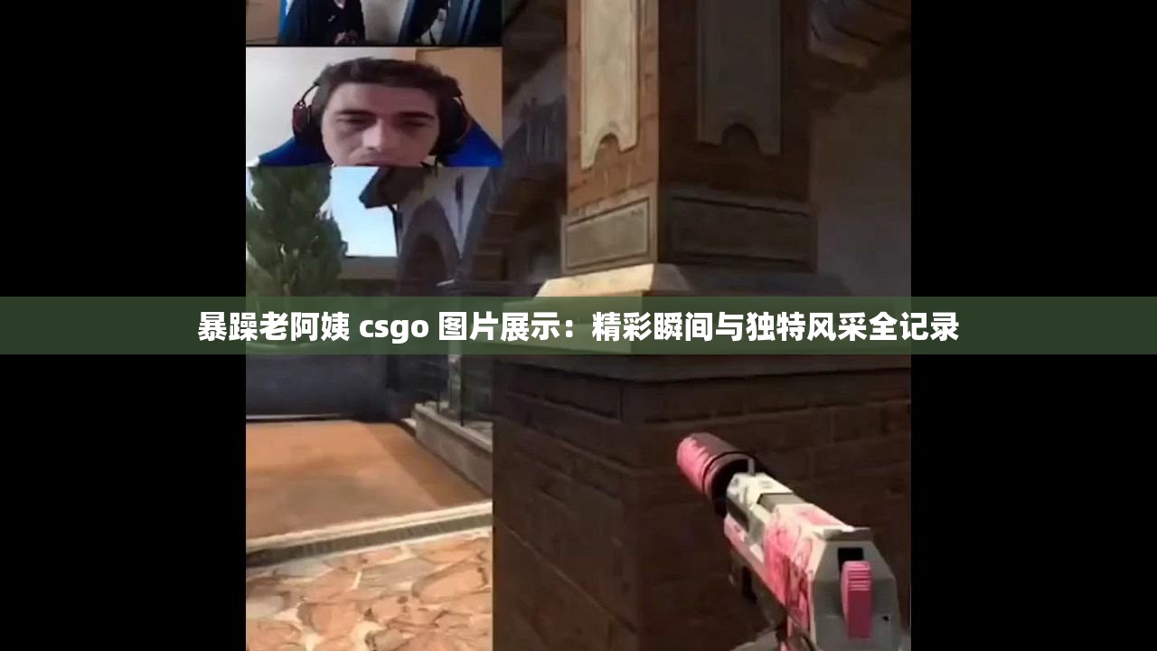 暴躁老阿姨 csgo 图片展示：精彩瞬间与独特风采全记录