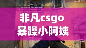 非凡csgo 暴躁小阿姨：暴躁阿姨的游戏世界