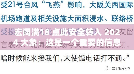 宏阔满18 点此安全转入 2024 大象：这是一个重要的信息提示