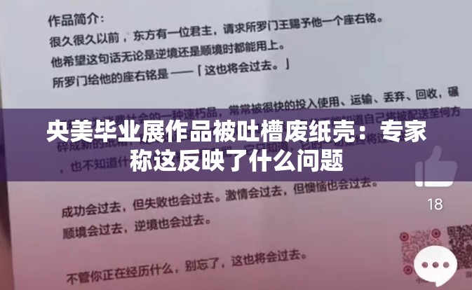 央美毕业展作品被吐槽废纸壳：专家称这反映了什么问题