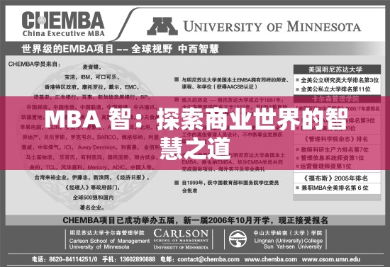 MBA 智：探索商业世界的智慧之道