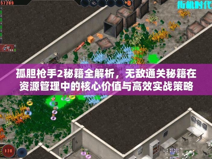 孤胆枪手2秘籍全解析，无敌通关秘籍在资源管理中的核心价值与高效实战策略