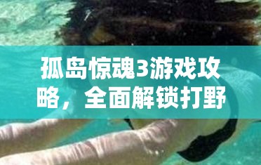 孤岛惊魂3游戏攻略，全面解锁打野兽技巧与独门秘籍分享