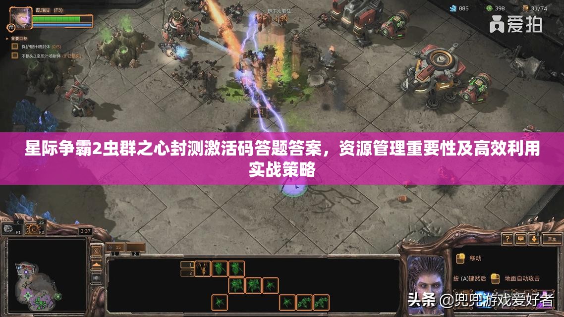 星际争霸2虫群之心封测激活码答题答案，资源管理重要性及高效利用实战策略