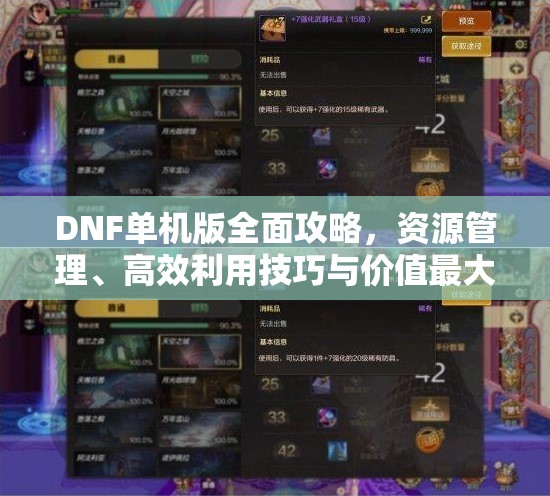 DNF单机版全面攻略，资源管理、高效利用技巧与价值最大化秘籍