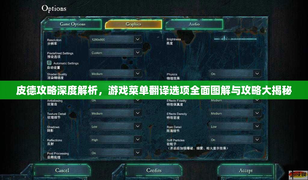 皮德攻略深度解析，游戏菜单翻译选项全面图解与攻略大揭秘