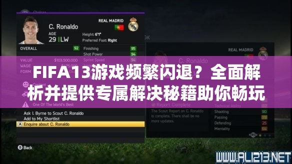 FIFA13游戏频繁闪退？全面解析并提供专属解决秘籍助你畅玩无忧！