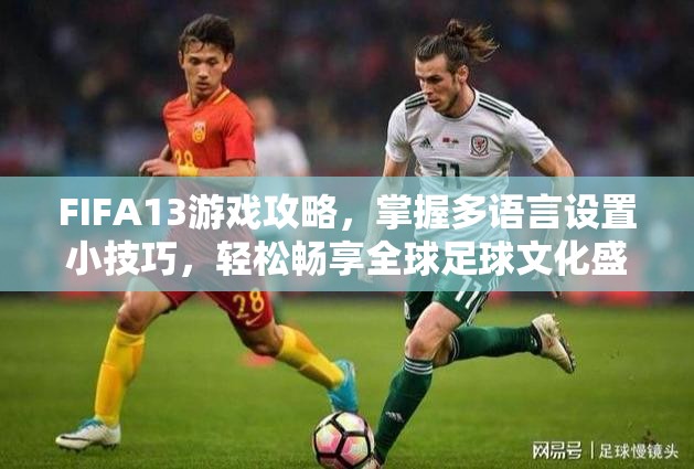 FIFA13游戏攻略，掌握多语言设置小技巧，轻松畅享全球足球文化盛宴