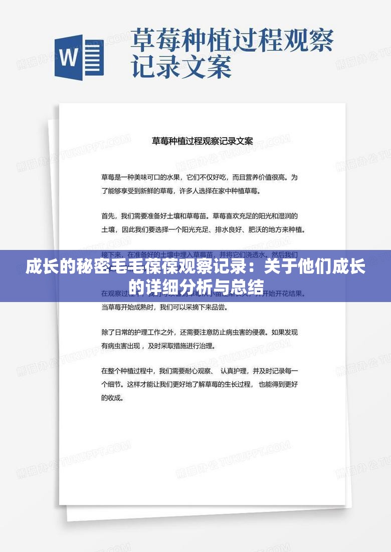 成长的秘密毛毛葆葆观察记录：关于他们成长的详细分析与总结