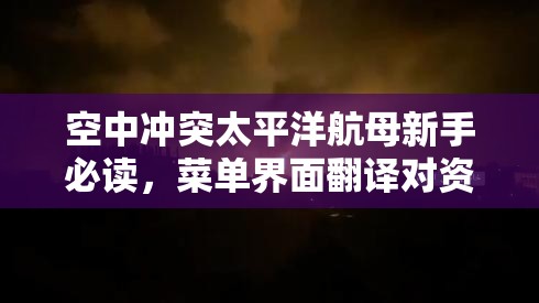 空中冲突太平洋航母新手必读，菜单界面翻译对资源管理的重要性及高效策略