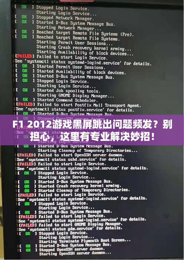 F1 2012游戏黑屏跳出问题频发？别担心，这里有专业解决妙招！