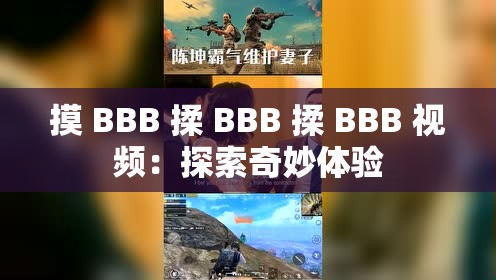 摸 BBB 揉 BBB 揉 BBB 视频：探索奇妙体验