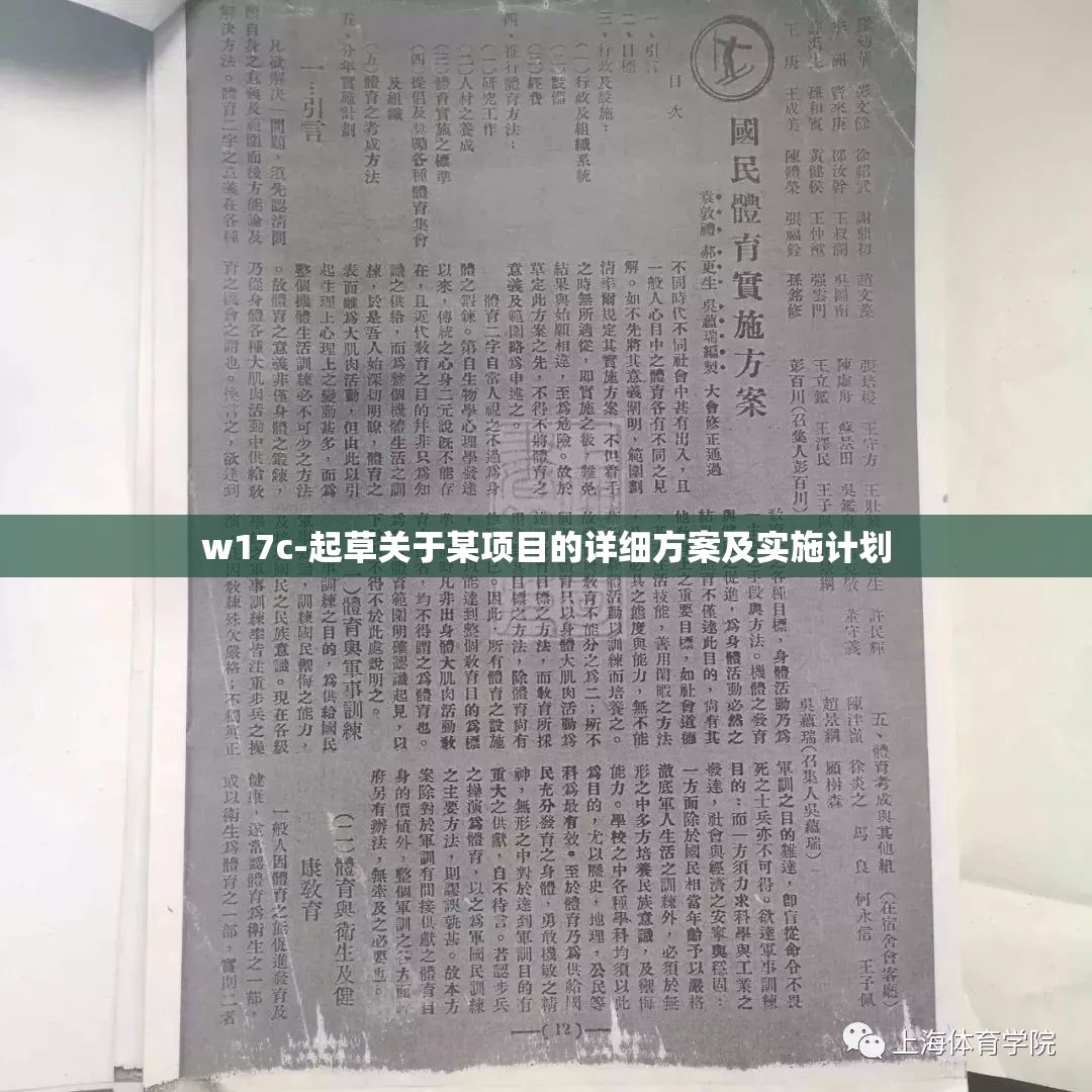 w17c-起草关于某项目的详细方案及实施计划