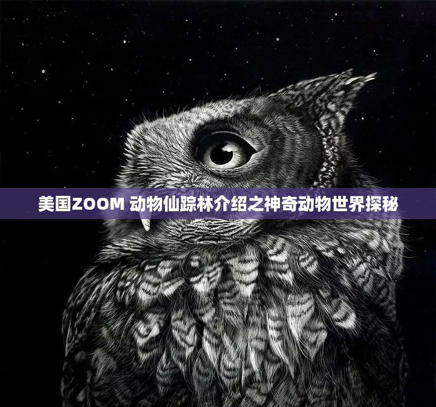 美国ZOOM 动物仙踪林介绍之神奇动物世界探秘