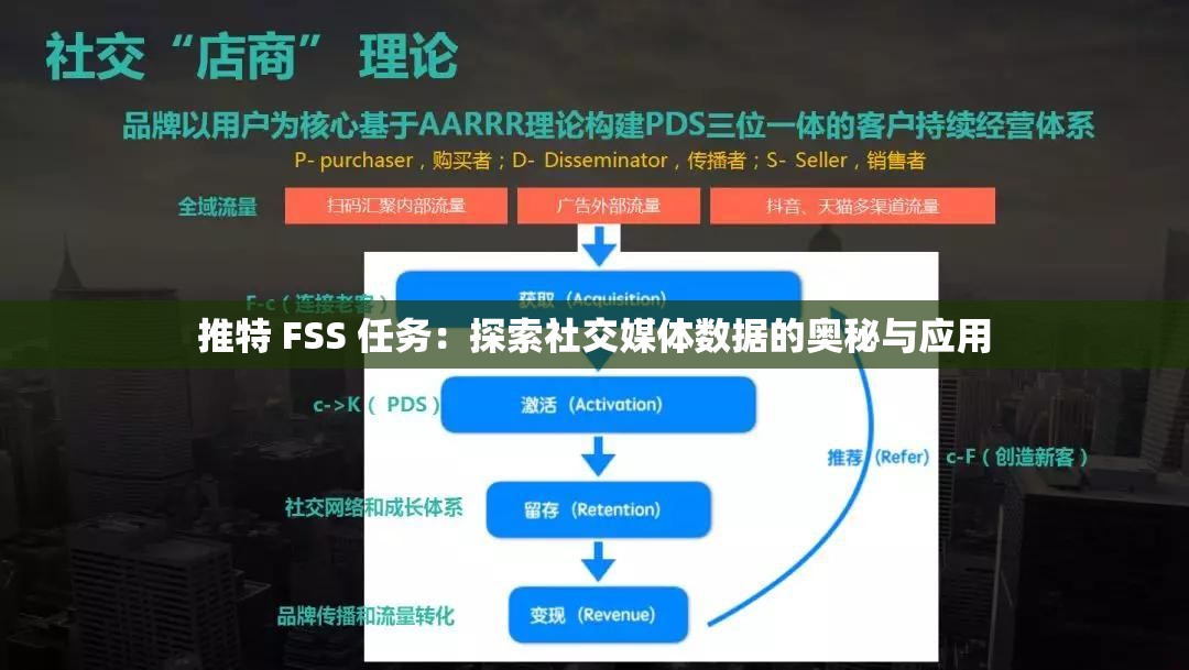 推特 FSS 任务：探索社交媒体数据的奥秘与应用