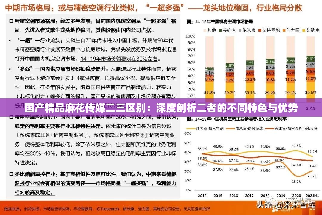 国产精品麻花传媒二三区别：深度剖析二者的不同特色与优势