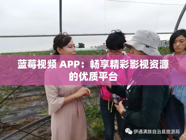 蓝莓视频 APP：畅享精彩影视资源的优质平台