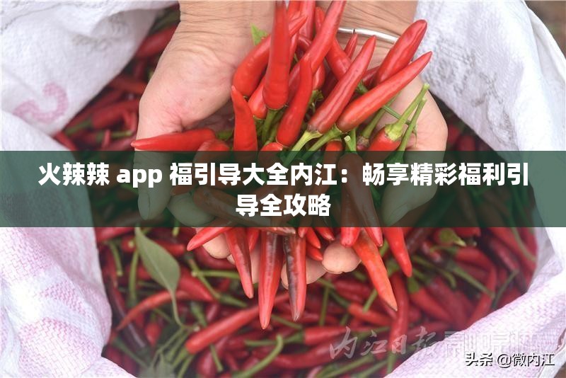 火辣辣 app 福引导大全内江：畅享精彩福利引导全攻略