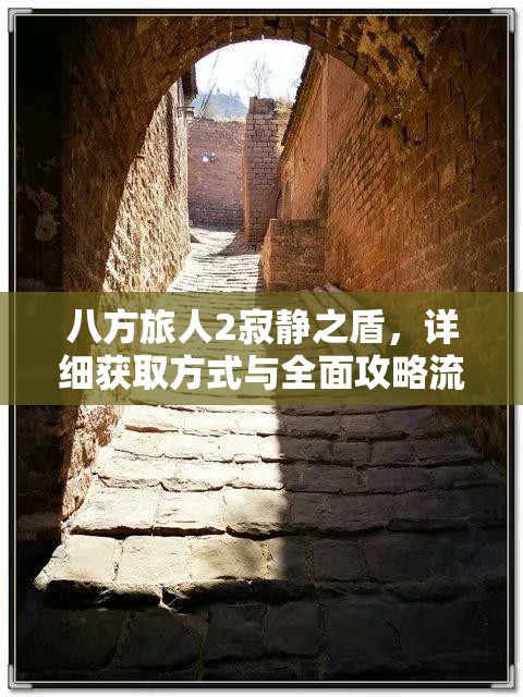 八方旅人2寂静之盾，详细获取方式与全面攻略流程揭秘