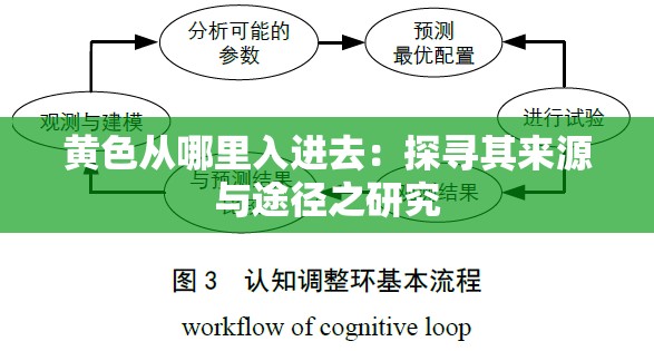 黄色从哪里入进去：探寻其来源与途径之研究