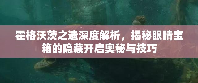 霍格沃茨之遗深度解析，揭秘眼睛宝箱的隐藏开启奥秘与技巧