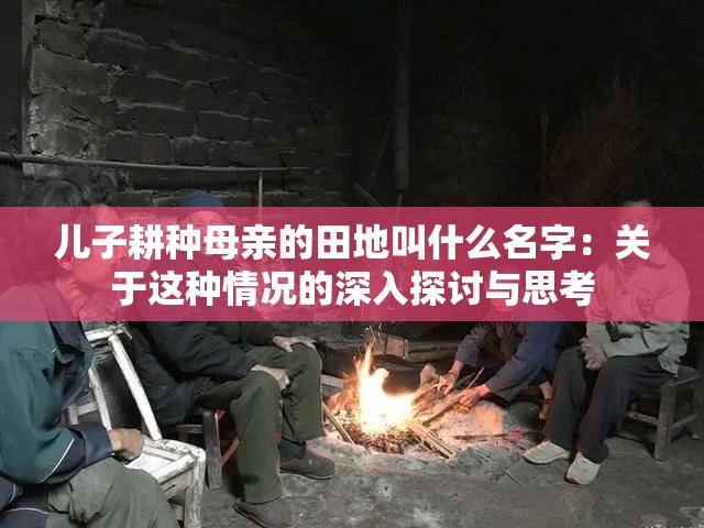 儿子耕种母亲的田地叫什么名字：关于这种情况的深入探讨与思考