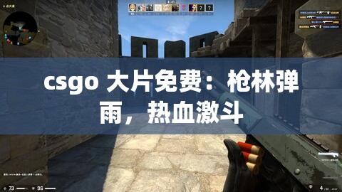 csgo 大片免费：枪林弹雨，热血激斗