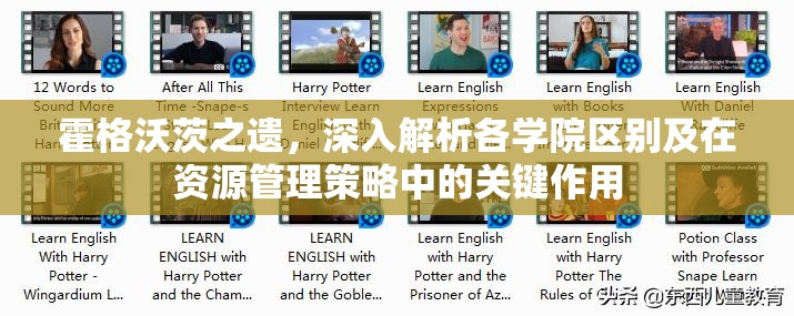 霍格沃茨之遗，深入解析各学院区别及在资源管理策略中的关键作用