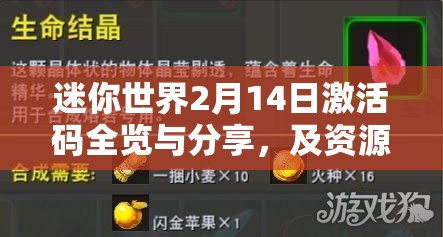 迷你世界2月14日激活码全览与分享，及资源管理高效利用的重要性与策略