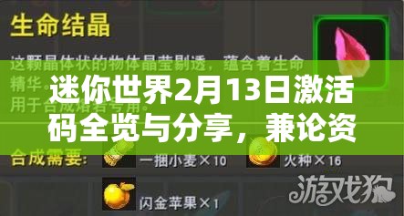 迷你世界2月13日激活码全览与分享，兼论资源管理高效利用的重要性策略