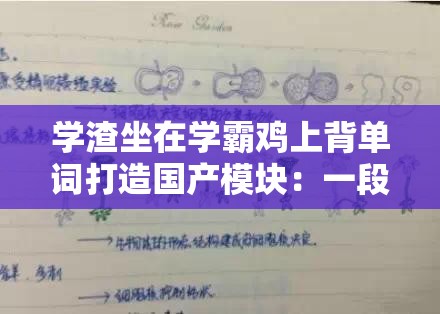 学渣坐在学霸鸡上背单词打造国产模块：一段独特的学习之旅