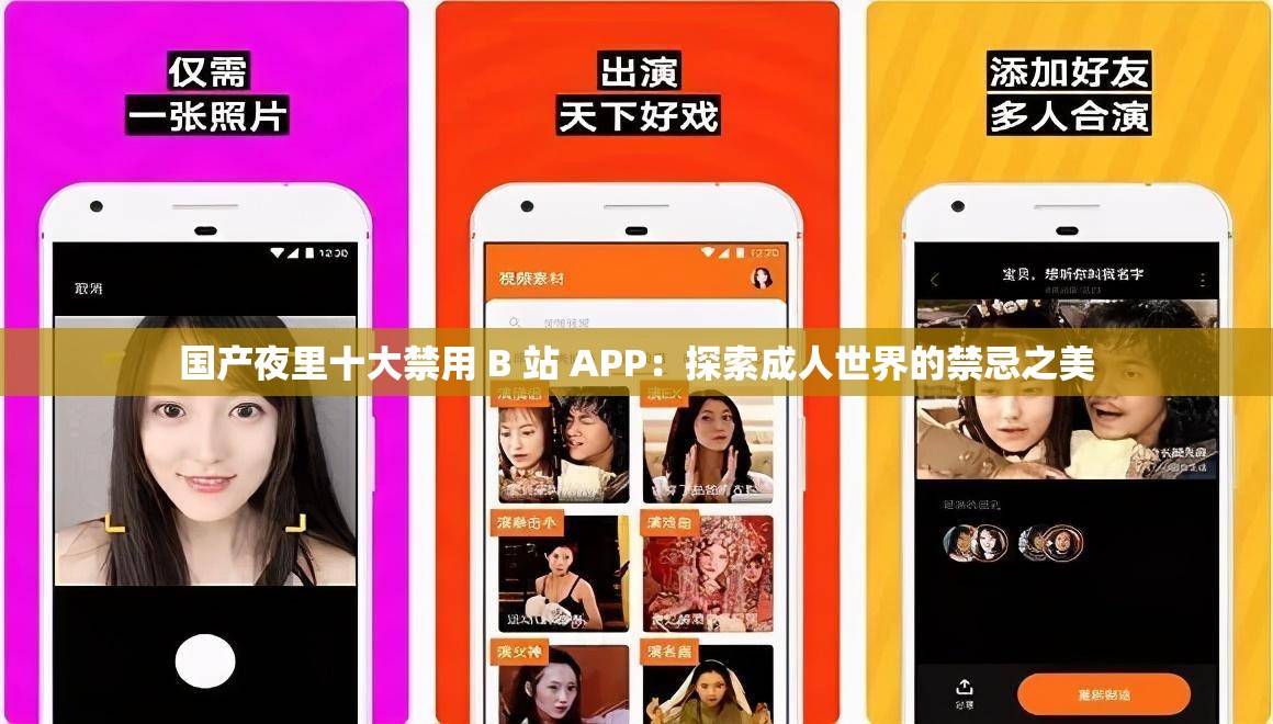 国产夜里十大禁用 B 站 APP：探索成人世界的禁忌之美