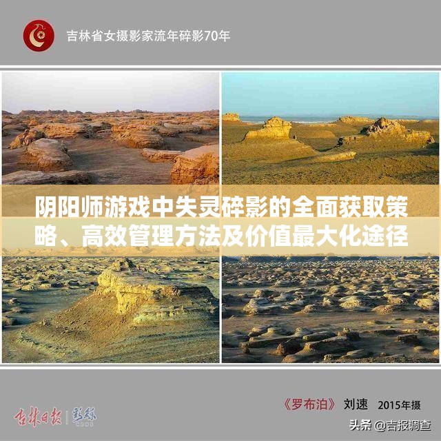 阴阳师游戏中失灵碎影的全面获取策略、高效管理方法及价值最大化途径